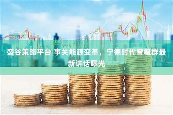 盛谷策略平台 事关能源变革，宁德时代曾毓群最新讲话曝光