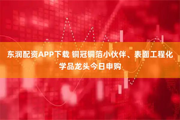 东润配资APP下载 铜冠铜箔小伙伴、表面工程化学品龙头今日申购